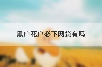 黑户花户必下网贷有吗？这些口子百分百能贷到
