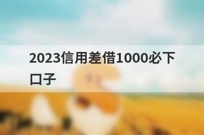 2023信用差借1000必下口子，这5个信用差马上到账