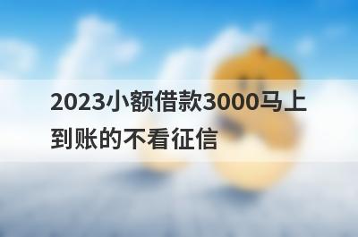 2023小额借款3000马上到账的不看征信，挑选五个小额借款3000马上到账的不看征信
