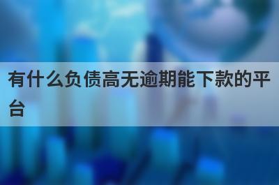 有什么负债高无逾期能下款的平台？这些都比较不错，支持闪电放款！