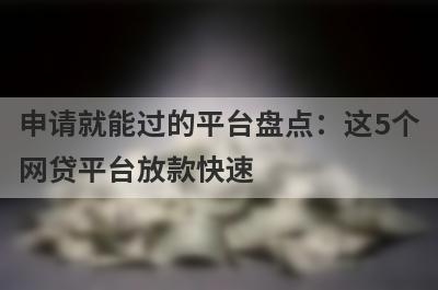 申请就能过的平台盘点：这5个网贷平台放款快速，可以迅速解决资金需求！
