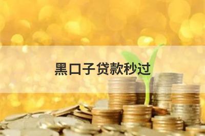 黑口子贷款秒过，挑选5个黑口子贷款秒过