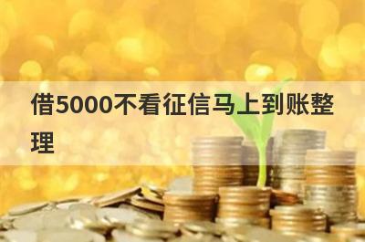 借5000不看征信马上到账整理，试试这5个不看征信负债百分百下款的贷款app