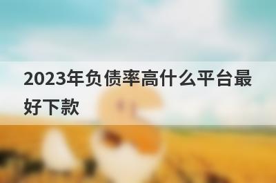 2023年负债率高什么平台最好下款？负债过高不用审核就下款