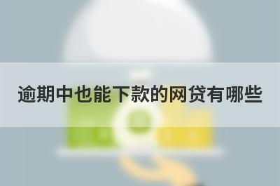 逾期中也能下款的网贷有哪些？盘点5个私人贷款不看征信立马到账