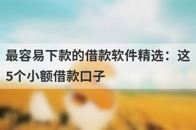 最容易下款的借款软件精选：这5个小额借款口子，轻松借到急需资金！
