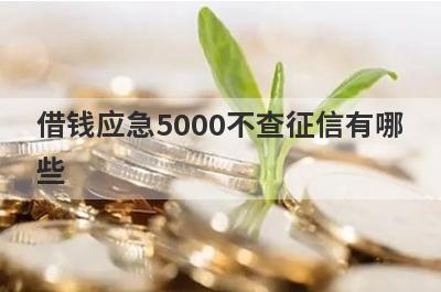 借钱应急5000不查征信有哪些？整理5个不看征信不看逾期的网贷