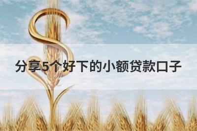 分享5个好下的小额贷款口子，可以满足大家的需求