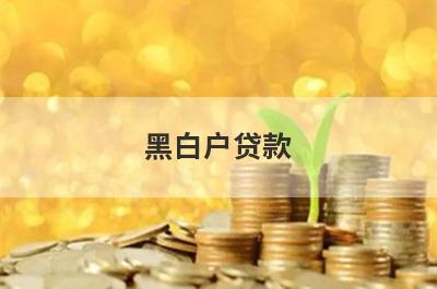 黑白户贷款，挑选5个黑白户贷款