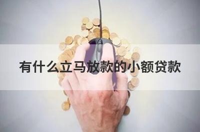 有什么立马放款的小额贷款？这些都比较不错