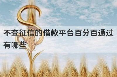 不查征信的借款平台百分百通过有哪些？推荐5个当天放款口子