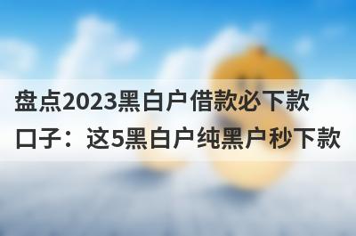 盘点2023黑白户借款必下款口子：这5黑白户纯黑户秒下款