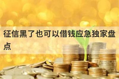 征信黑了也可以借钱应急独家盘点，这几个小额借款平台快速下款秒到账！