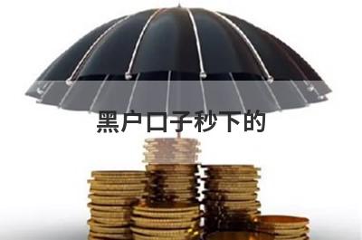 黑户口子秒下的 盘点5个网贷不看征信不看大数据