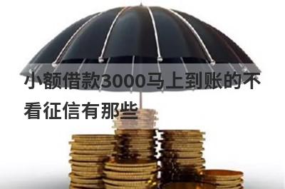 小额借款3000马上到账的不看征信有那些？精心挑选几个必下款的网贷口子！