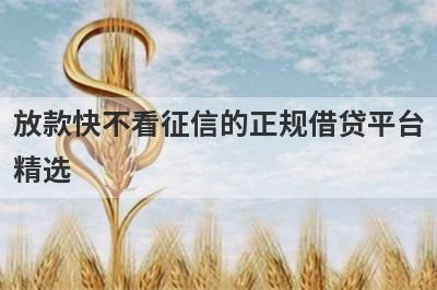 放款快不看征信的正规借贷平台精选 这些口子app当天放款