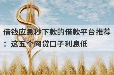 借钱应急秒下款的借款平台推荐：这五个网贷口子利息低，秒下款！