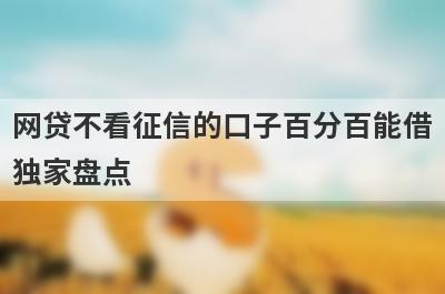 网贷不看征信的口子百分百能借独家盘点，这几个小额借款平台快速下款秒到账！