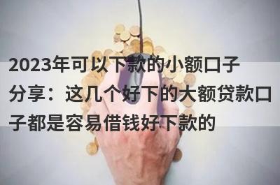 2023年可以下款的小额口子
分享：这几个好下的大额贷款口
子都是容易借钱好下款的
