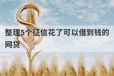 整理5个征信花了可以借到钱的网贷，需要的可以试试，极速放款！