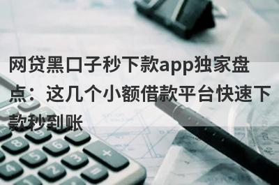 网贷黑口子秒下款app独家盘点：这几个小额借款平台快速下款秒到账！