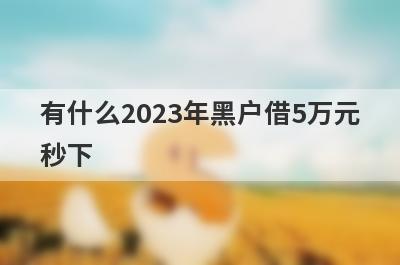 有什么2023年黑户借5万元秒下 盘点5个黑户借5万元秒下