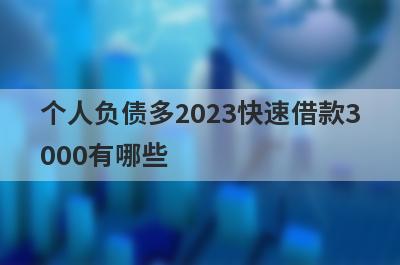 个人负债多2023快速借款3000有哪些？这几个个人负债多也能秒下3000