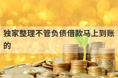 独家整理不管负债借款马上到账的，这5个网贷口子更好下款，秒到账！