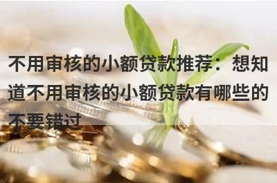 不用审核的小额贷款推荐：想知道不用审核的小额贷款有哪些的不要错过！