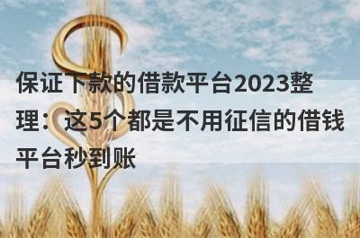 保证下款的借款平台2023整理：这5个都是不用征信的借钱平台秒到账