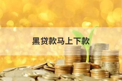 黑贷款马上下款 独家盘点5个2023年不用征信就能借钱的平台