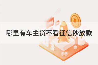 哪里有车主贷不看征信秒放款？急用钱试试这些小额贷款