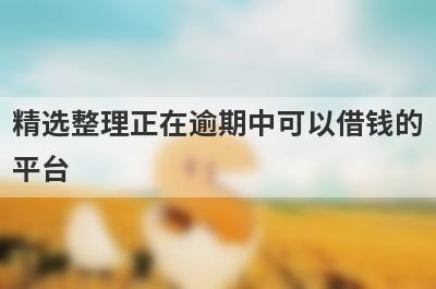 精选整理正在逾期中可以借钱的平台 这5个平台急用钱马上到账