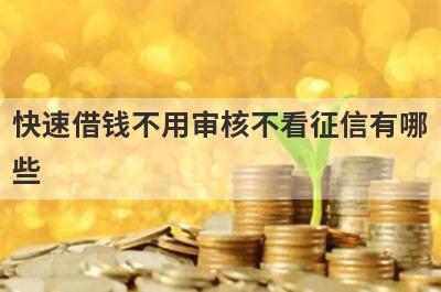 快速借钱不用审核不看征信有哪些？盘点5个不看征信不看负债的贷款平台