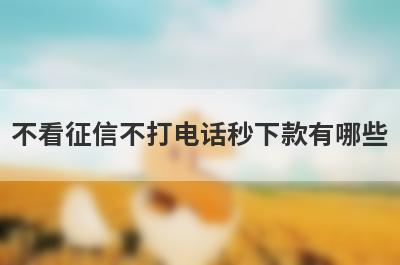 不看征信不打电话秒下款有哪些？推荐5个好下款平台