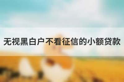 无视黑白户不看征信的小额贷款，汇总几个小额网贷平台，极速借款秒到账