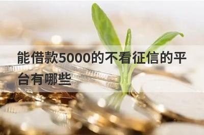 能借款5000的不看征信的平台有哪些？这五个容易下款