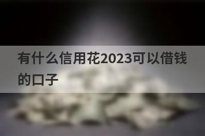 有什么信用花2023可以借钱的口子？5个信用黑白户必下款口子