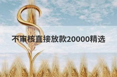 不审核直接放款20000精选 这5个口子当天放款极速到账
