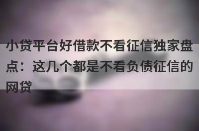 小贷平台好借款不看征信独家盘点：这几个都是不看负债征信的网贷