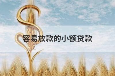 容易放款的小额贷款，汇总五个小额贷款平台，低门槛好下款！