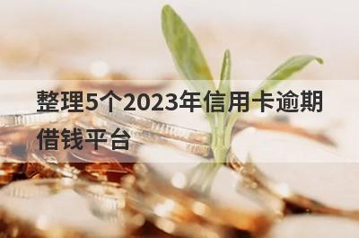 整理5个2023年信用卡逾期借钱平台，需要的可以试试，快速到账