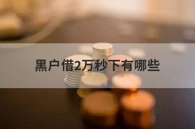 黑户借2万秒下有哪些？盘点5个各种拒能放水的口子