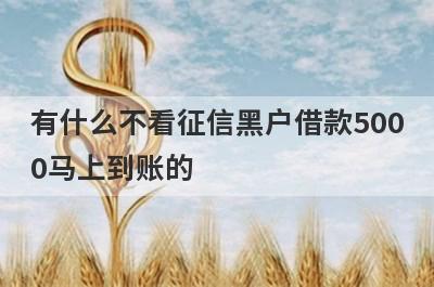 有什么不看征信黑户借款5000马上到账的？可以试试这5个小额贷款