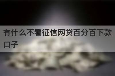 有什么不看征信网贷百分百下款口子？可以试试这五个小额贷款