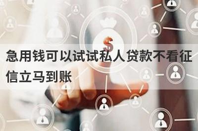 急用钱可以试试私人贷款不看征信立马到账，放款快速！