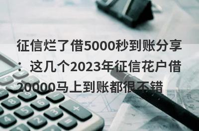 征信烂了借5000秒到账分享：这几个2023年征信花户借20000马上到账都很不错！