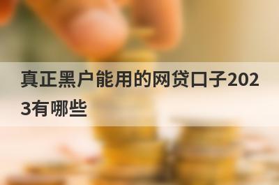 真正黑户能用的网贷口子2023有哪些？独家盘点黑白户都可以借款