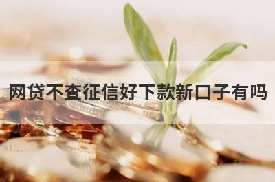 网贷不查征信好下款新口子有吗？这5个平台好下款