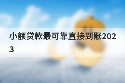 小额贷款最可靠直接到账2023 小额贷款借1000